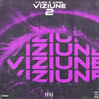 Viziune 2 (feat. Ariel) - Single - NMW Yanni
