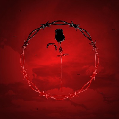 Cardio (feat. YNG & Risk) - Single