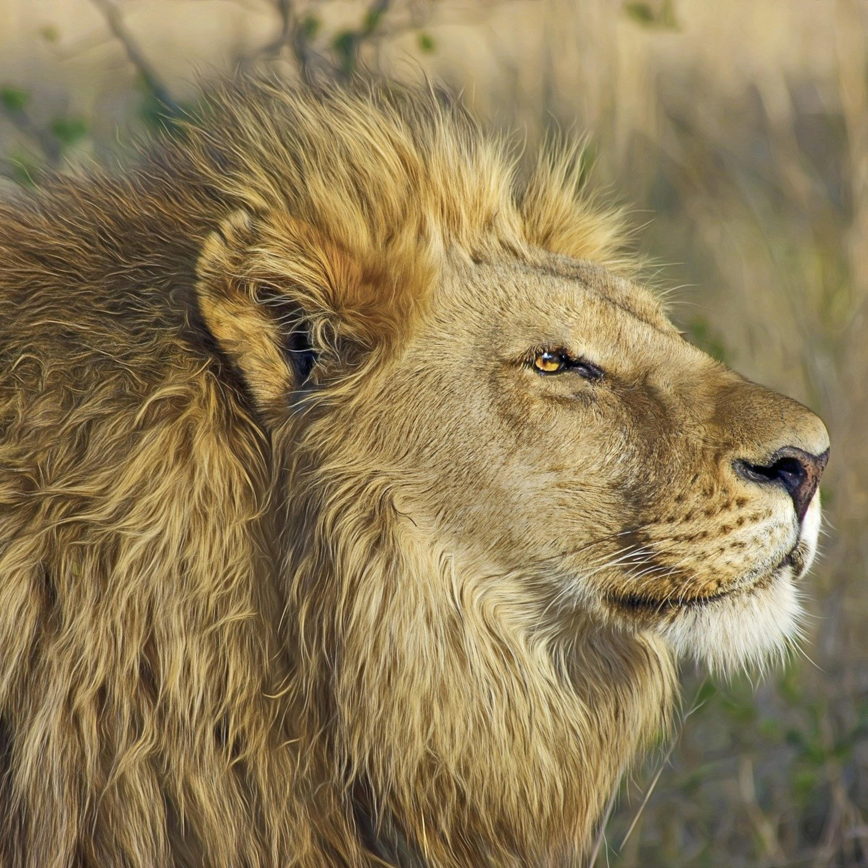 Chill House Part 1, Vol. 10