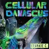 Frankie C. - So It Begins