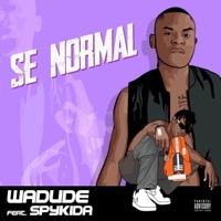 Se Normal - Single - Wadude