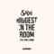 Biggest in the Room (feat. Mike Lembo) - Salvi lyrics