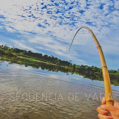 Sequencia de Vara - Single