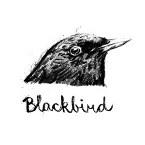 Blackbird - Single