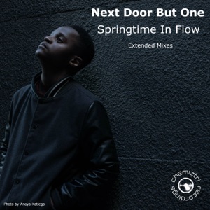 Springtime in Flow (Extended Mixes) - Single