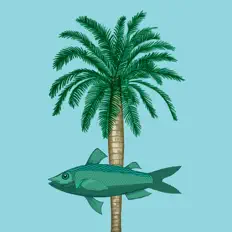 聆聽 Neureille、觀看音樂影片、閱讀小傳、查看巡演日期等！