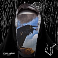 Strange - Single - Ketami & Venky