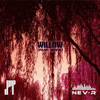 Willow (feat. NEV-R) - Single