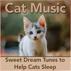 Cat Music: Sweet Dream Tunes to Help Cats Sleep