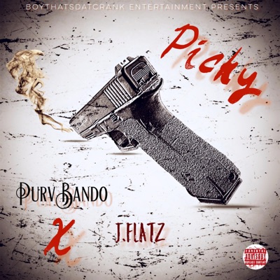 Picky (feat. J. Flatz) - Single