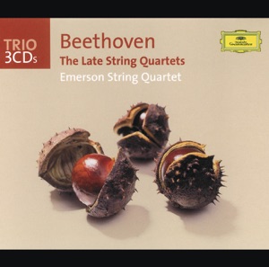 String Quartet No. 15 in A Minor, Op. 132: V. Allegro appassionato