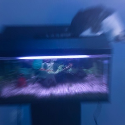 Under Water - Single