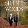 Mattia Zappa - Sonata For Cello And Piano in A Minor, D.821: 1. Allegro moderato