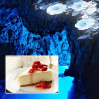 Cheesecake - Single - Pradaaslife