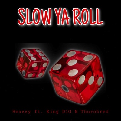 Slow Ya Roll (feat. King D1G $ Thurobred) - Single