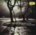 Serenade for Strings in E, Op. 22: V. Finale (Allegro vivace) song reviews