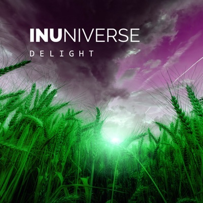 INUniverse Delight (DJ Mix)