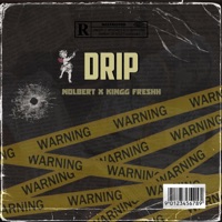 DRIP (feat. Kingg Freshh) - Single - Nolbert