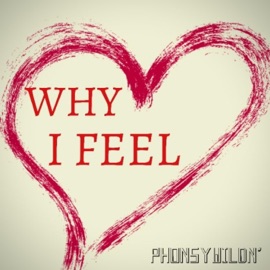 Why I Feel PhonsyWildn'
