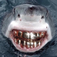 Mclovin' - Single - Yung JerJer