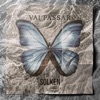 Vai Passar - Single
