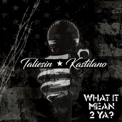 What It Mean 2 Ya? (feat. Taliesin)
