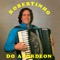 Mariza - Robertinho do Acordeon lyrics