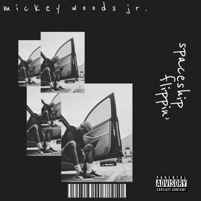 Spaceship Flippin' (feat. Tawn Peron) - Single