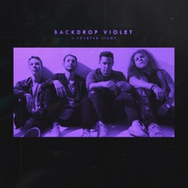 Find Yourself Backdrop Violet