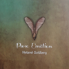 Pure Emotion - Netanel goldberg