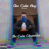The Calm Chronicles, Pt. 4 - Single - One Calm Boy