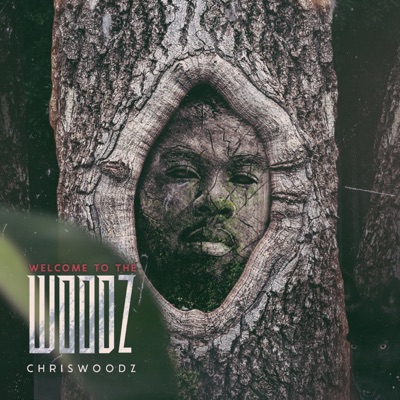Welcome to the Woodz - EP