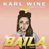 Baila artwork