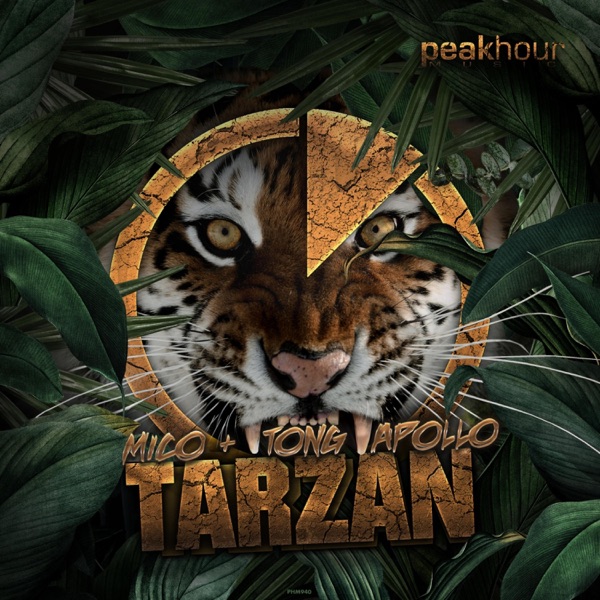 Tarzan - Single