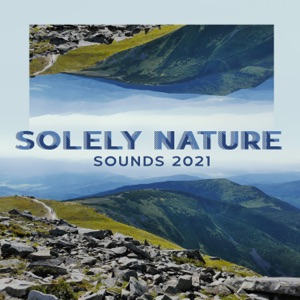 Solely Nature Sounds 2021: Ambient Melodies of Woodland, Ocean, Winter, Rain, Relaxing Nature, Without Instruments
