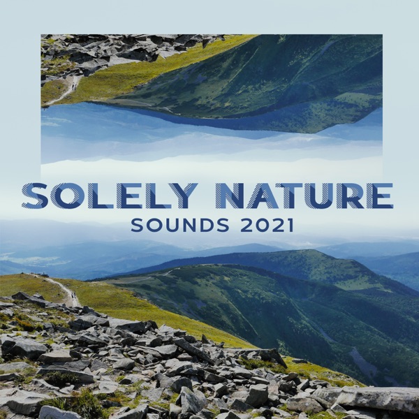 Solely Nature Sounds 2021: Ambient Melodies of Woodland, Ocean, Winter, Rain, Relaxing Nature, Without Instruments