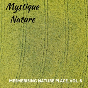 Mystique Nature - Mesmerising Nature Place, Vol. 8