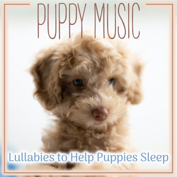 Puppy Music: Lullabies to Help Puppies Sleep