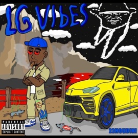 LG Vibes TwentyTwo Houdini