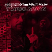 Pablo Molina - Tribulación