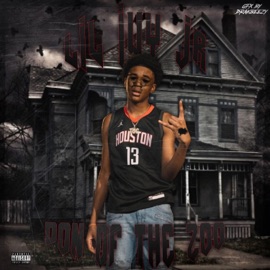 Don of the Zoo Lil Ivyjr