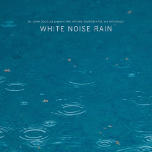 White Noise Rain - EP