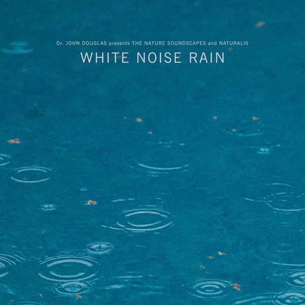 White Noise Rain - EP