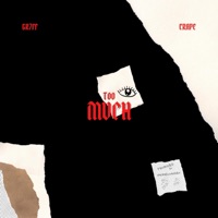 too much (feat. Crape) - Single - GR7FF