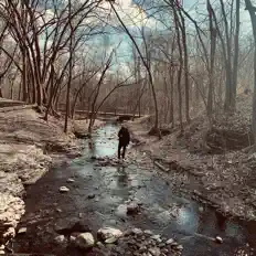 Dengarkan RAZAtwn, tonton video musik, baca bio, lihat tanggal tur & lainnya!