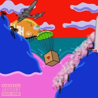 Bankroll Trouble (feat. Moe Roy) - Single - Lani Flaze