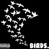 Birds. (feat. Mac Dris, Nieto & Tha Wurm) - Single - Rob Nollan
