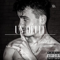 Un Délit (feat. Féijoo & Ju) - Single - ALX