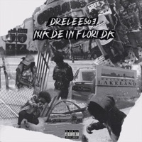 Made in Florida - EP - DreLee863