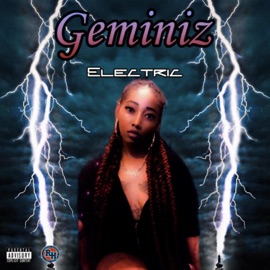 Favorite Type Geminiz